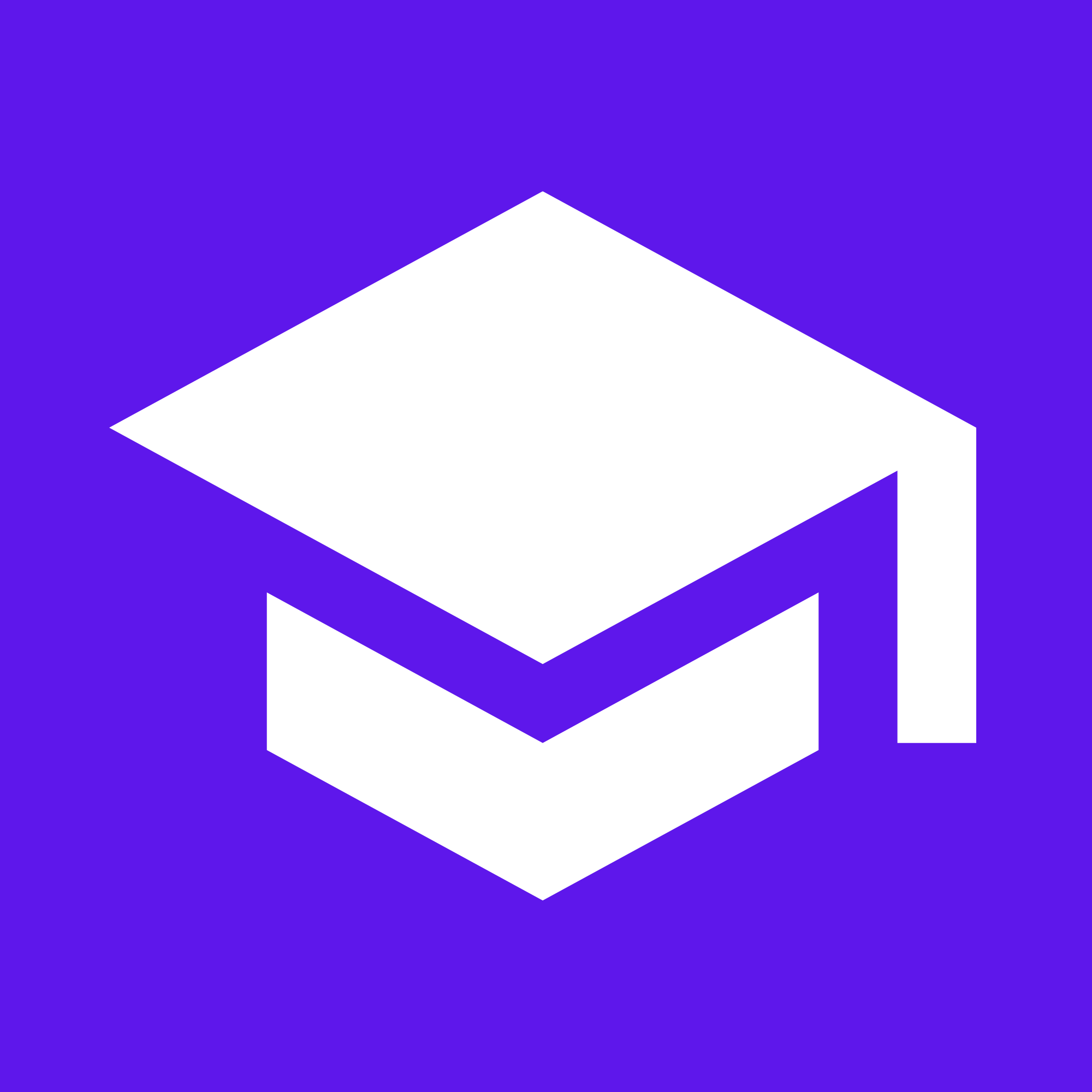 Learnify DZ Logo